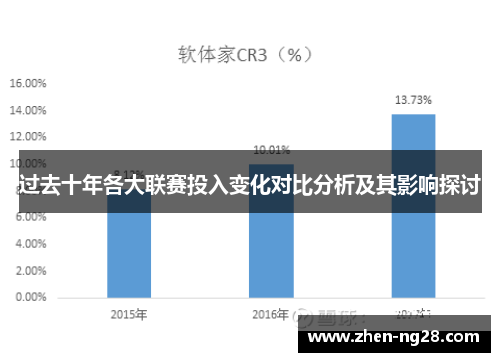 过去十年各大联赛投入变化对比分析及其影响探讨