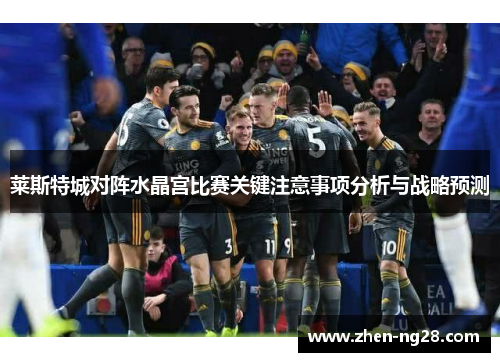 莱斯特城对阵水晶宫比赛关键注意事项分析与战略预测